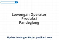 Lowongan Operator Produksi Pandeglang