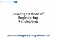 Lowongan Head of Engineering Pandeglang