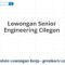 Lowongan Senior Engineering Cilegon