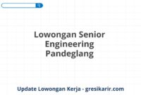 Lowongan Senior Engineering Pandeglang