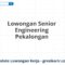 Lowongan Senior Engineering Pekalongan