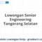 Lowongan Senior Engineering Tangerang Selatan