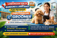 Lowongan Kerja Bandung & Jawa Barat: Fur Petshop Buka Posisi Groomer, Cocok untuk Pecinta Hewan Lowongan Kerja Bandung & Jawa Barat: Fur Petshop Buka Posisi Groomer, Cocok untuk Pecinta Hewan